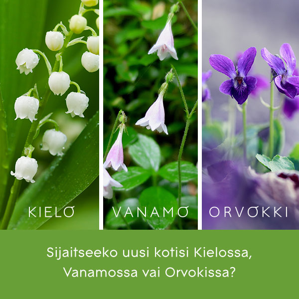 Niittypolku