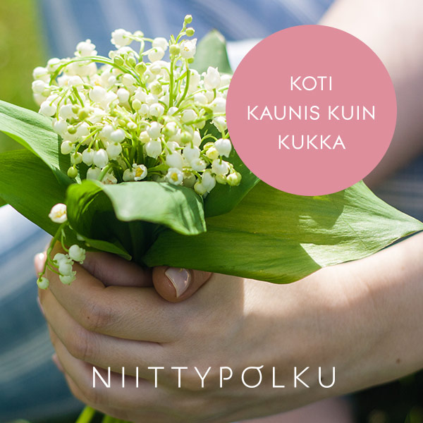 Niittypolku